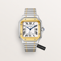Regent Watch